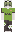 skin of a player