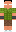 skin of a player