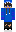 skin of a player