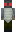skin of a player