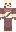 skin of a player