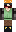 skin of a player