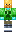 skin of a player