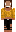 skin of a player