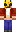 skin of a player