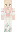 skin of a player