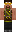 skin of a player