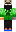skin of a player