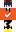 skin of a player