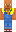 skin of a player