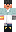 skin of a player