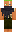 skin of a player