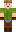 skin of a player