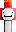 skin of a player