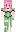 skin of a player