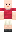 skin of a player