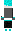 skin of a player