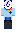 skin of a player