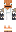 skin of a player