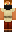 skin of a player
