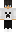 skin of a player