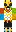skin of a player