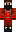 skin of a player