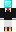 skin of a player