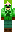 skin of a player