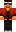 skin of a player
