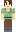 skin of a player
