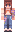 skin of a player