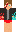 skin of a player