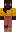 skin of a player