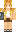 skin of a player