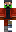 skin of a player