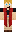 skin of a player