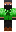 skin of a player