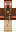 skin of a player