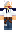 skin of a player