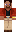 skin of a player
