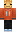 skin of a player