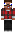 skin of a player