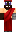 skin of a player