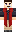 skin of a player