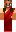 skin of a player