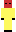 skin of a player