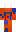 skin of a player
