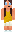 skin of a player