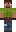 skin of a player